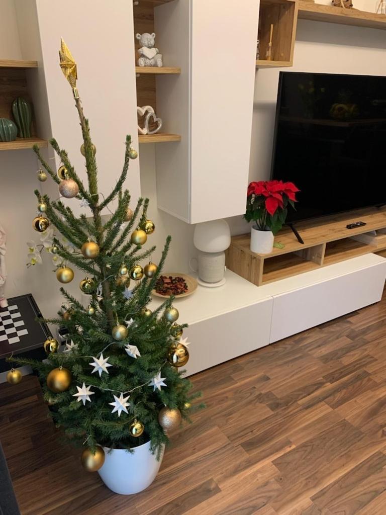 Krejcarek Garden Apartment Прага Екстер'єр фото
